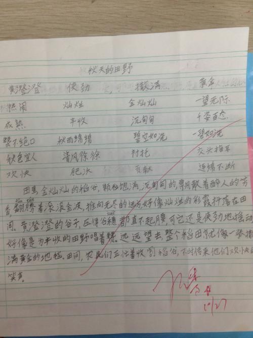 初中好句子摘抄大全及出处_(中学生摘抄优美文段)