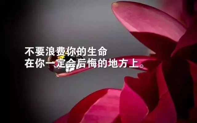 适合发朋友圈的人生哲理经典语句句句触动人心