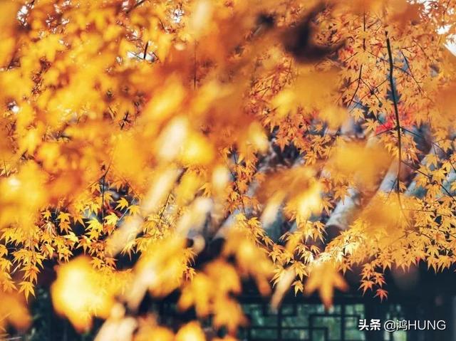 赞美初冬季节的句子 赞美初冬季节的句子