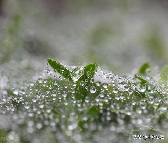 听雨轩精选美文(美文精选)