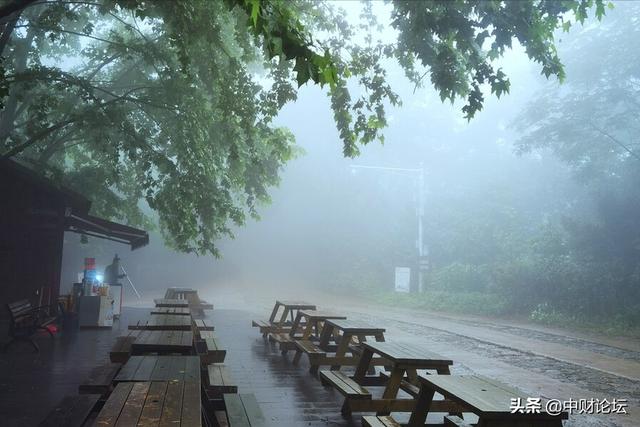 听雨轩精选美文(美文精选)