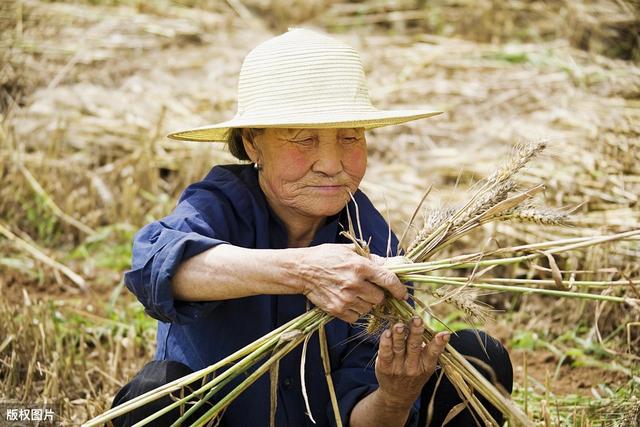 赞美农忙季节农民句子