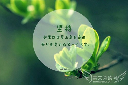 精选美文章摘抄赏析(美文摘抄加赏析800字)