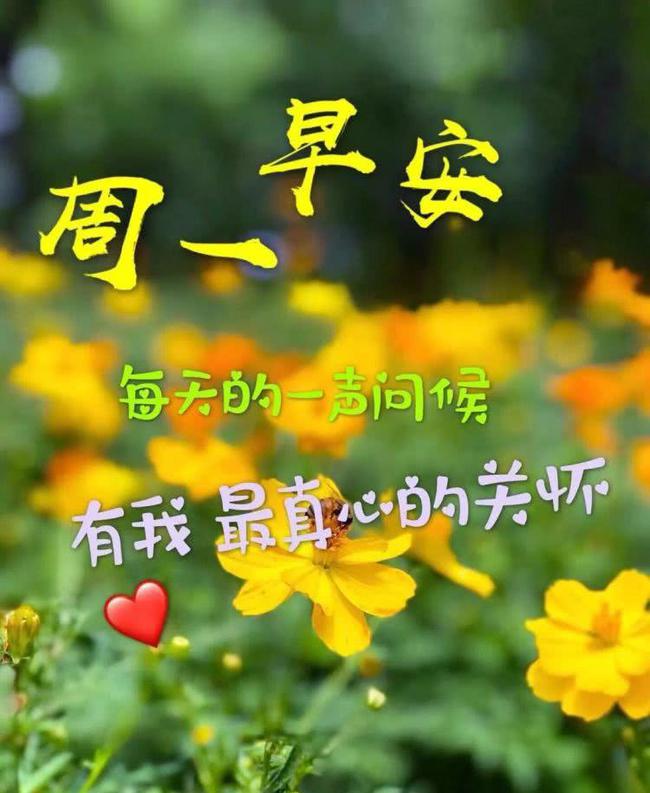 描写12月份季节的优美句子的简单介绍