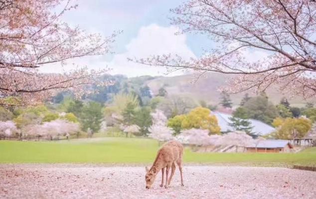 形容季节的英语句子短句