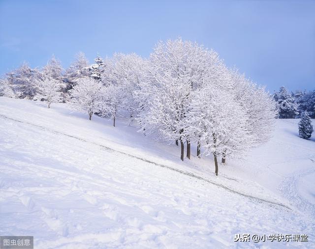 写雪景的精选美文一千字(描写雪景的优美散文)