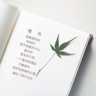 叙事抒情散文精选美文(养心养肺养心谷抒情散文)