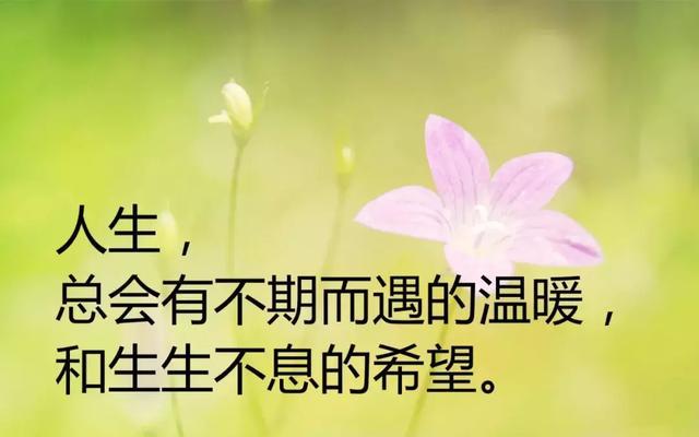 一千字的精选美文励志(青春励志美文摘抄400字)