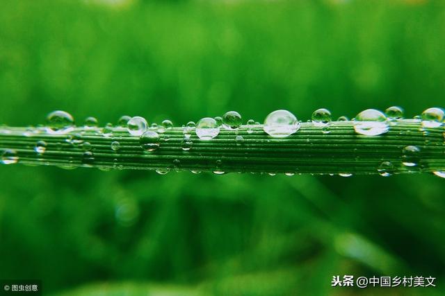 春雨精选美文(励志美文)