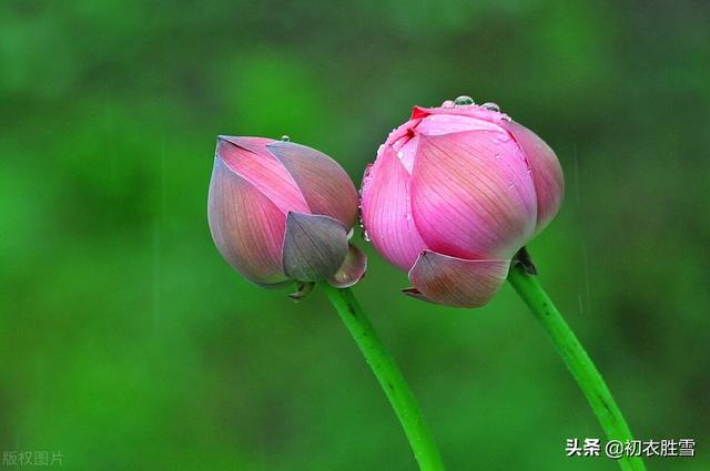 梅雨季节发朋友圈的句子