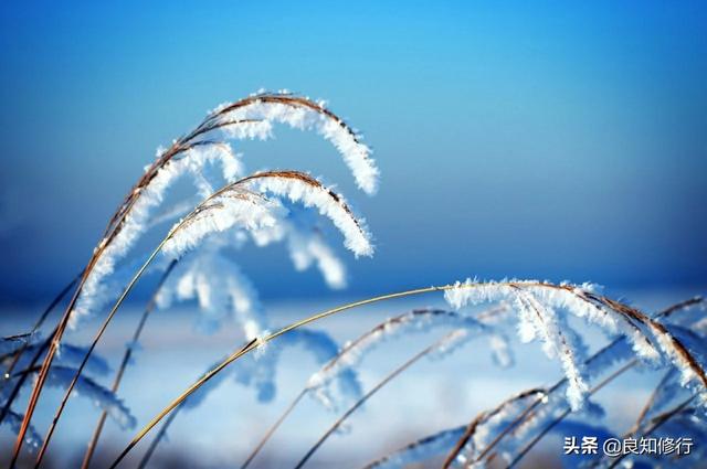 精选美文片段(关于雪的美文摘抄)