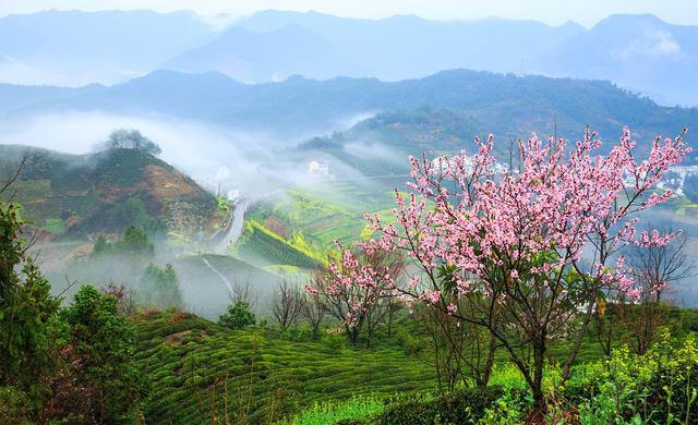 传统节日精选美文(我国有哪些传统节日)