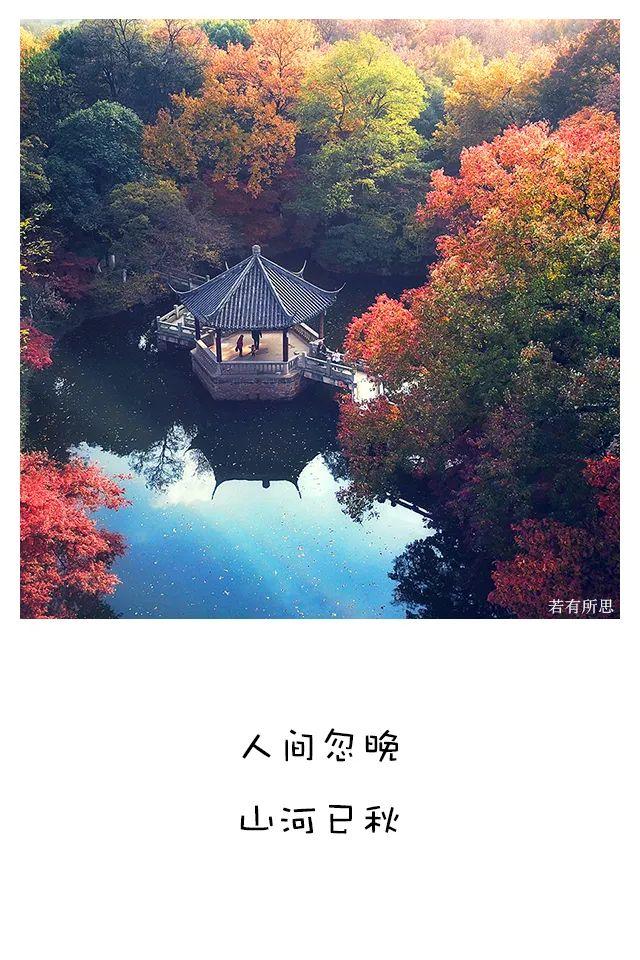 最喜欢的季节秋天句子