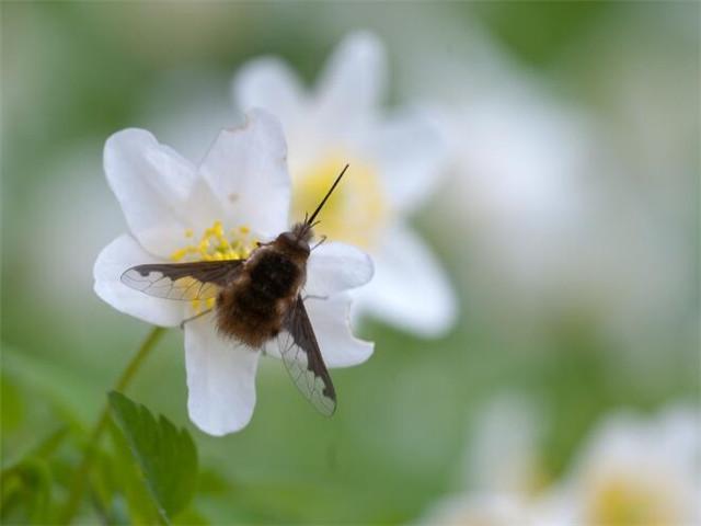 说天气变化无常的句子(形容天气变化无常的幽默句子)