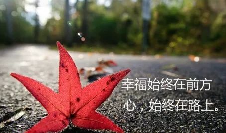 适合发朋友圈赞美家乡的句子的简单介绍