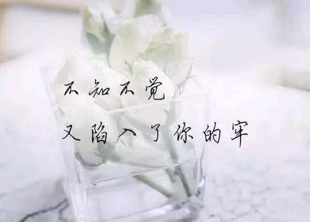 赞美一个人漂亮的句子_(赞美女人漂亮的句子成语)