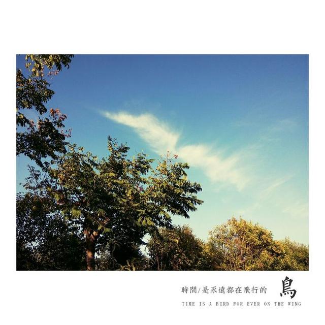 美文美句图片的有哪些软件
