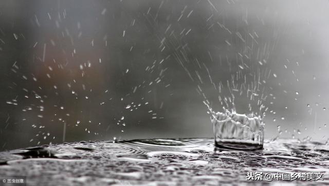 春雨精选美文(励志美文)