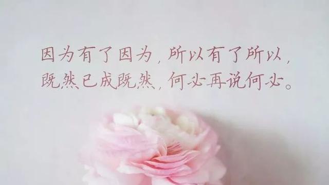 美文美句图片上的文字 美文美句图片上的文字