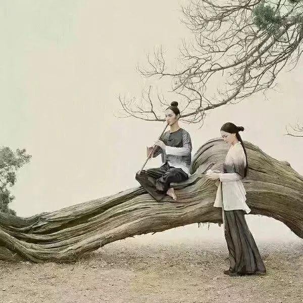 美文美句图片上的文字 美文美句图片上的文字