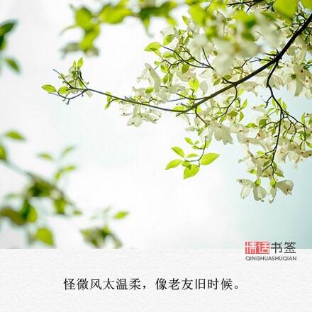 句子控的句子怎么设置在桌面(句读能自定义文字吗)