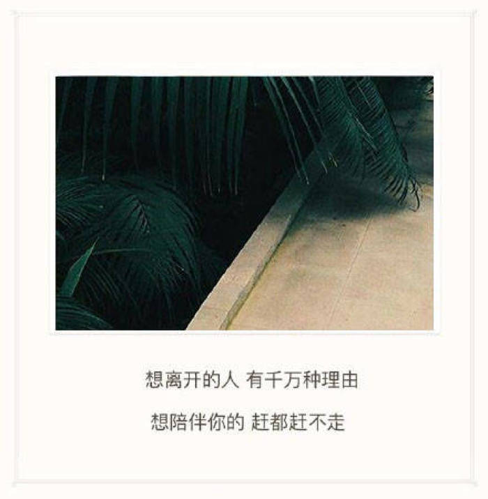 优美句子短句 励志_(干净简短的励志句子)