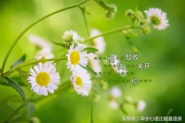 适合发朋友圈的句子新开始_(新的一天开始了早安语)