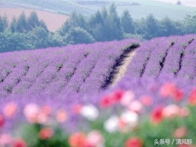 过年回家感恩父母的句子