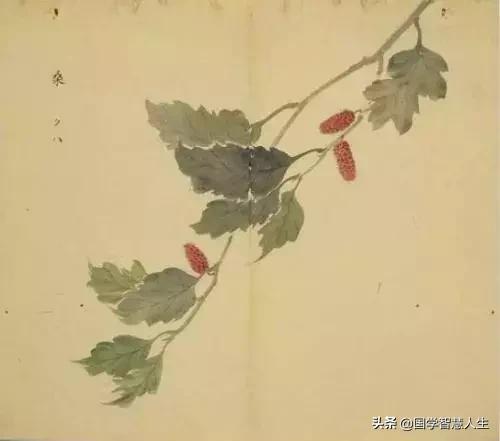 感恩父母的句子 诗经 一年级 简短 感恩父母的句子 诗经 一年级 简短