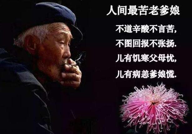 感恩父母的句子100字左右片段 感恩父母的句子100字左右片段