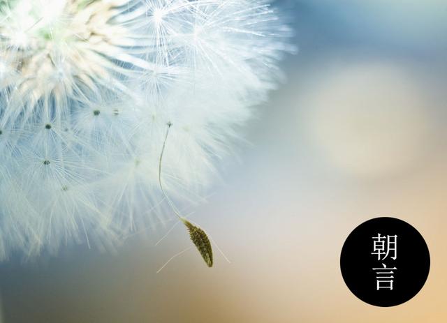 关于感恩父母的句子 关于感恩父母的句子