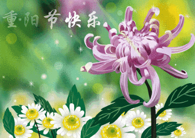 重阳节感恩父母的句子图片 重阳节感恩父母的句子图片