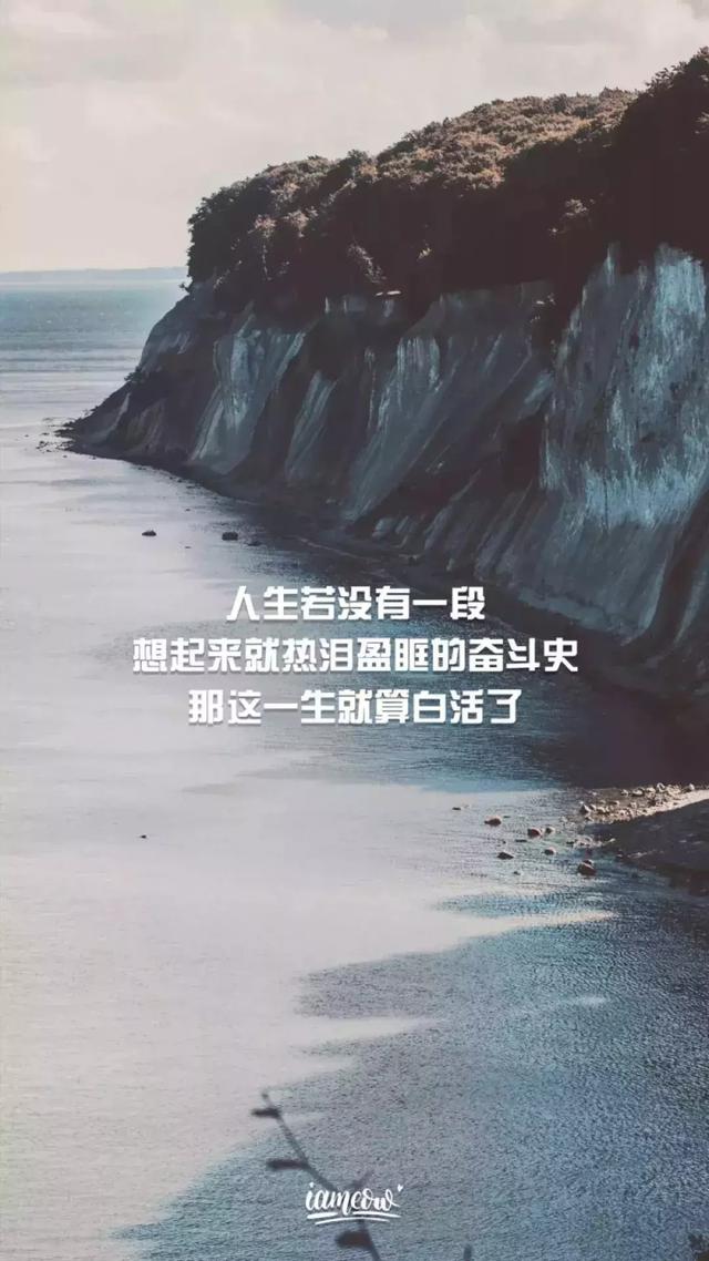 励志壁纸图片大全墙纸(励志可爱壁纸)