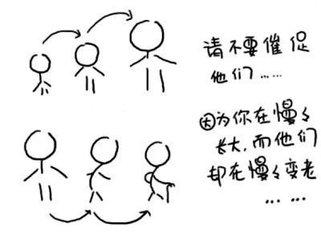 感恩父母的句子经典语录200字