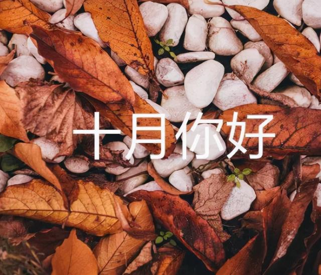 2021感恩父母的句子 2021感恩父母的句子