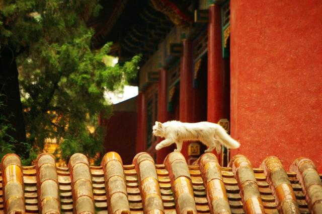 感恩父母的句子诗经一年级简短 感恩父母的句子诗经一年级简短