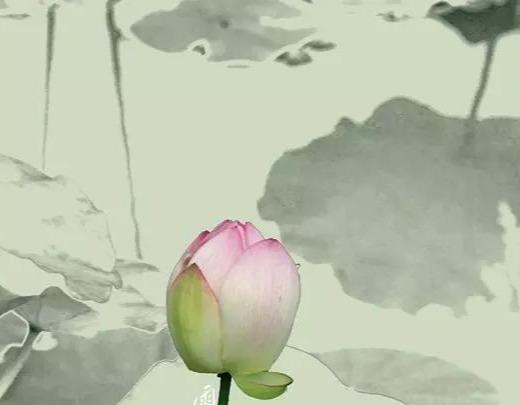 感恩父母的句子诗经 感恩父母的句子诗经