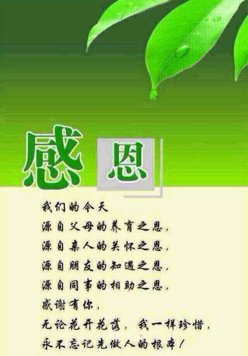 有关感恩父母的句子和词语【感恩父母的词语和句子大全集】
