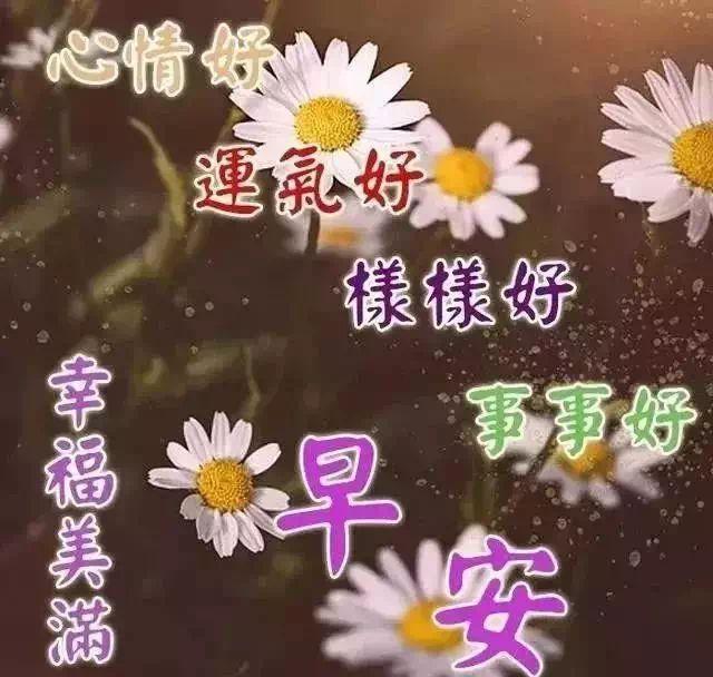 周末励志的句子(清晨励志正能量的句子)