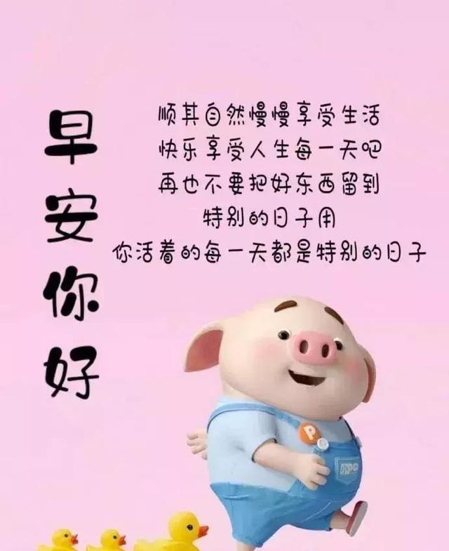 励志语录一句话(每天奋斗的一句话励志)