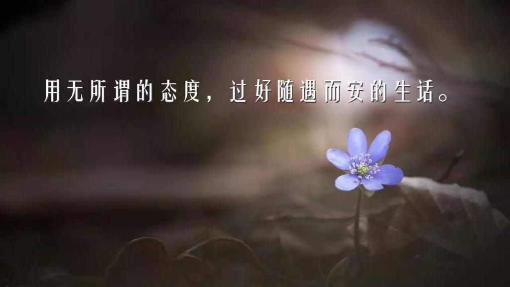 读书励志句子(读书的优美句子)