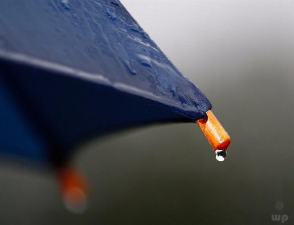 下雨天励志的句子(下雨激励的话语前进)