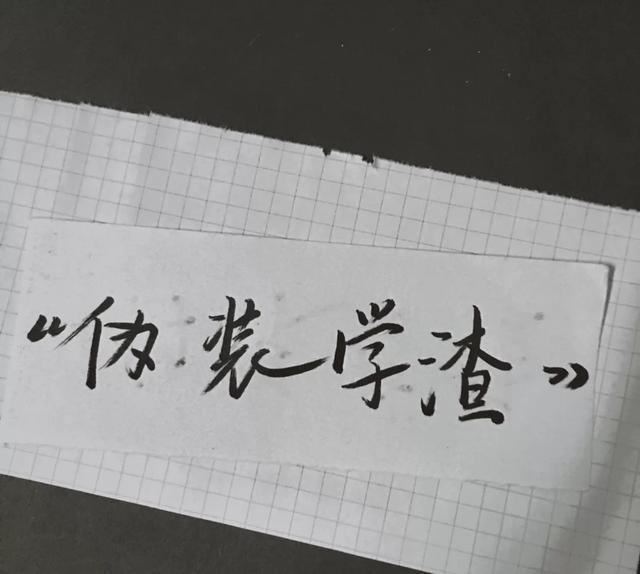 《伪装学渣》励志句子(伪装学渣语录大全)