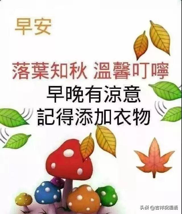 问候语早安(每日早安问候语)