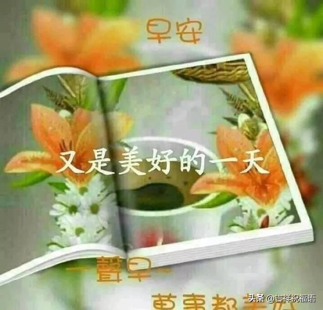 问候语早安(每日早安问候语)