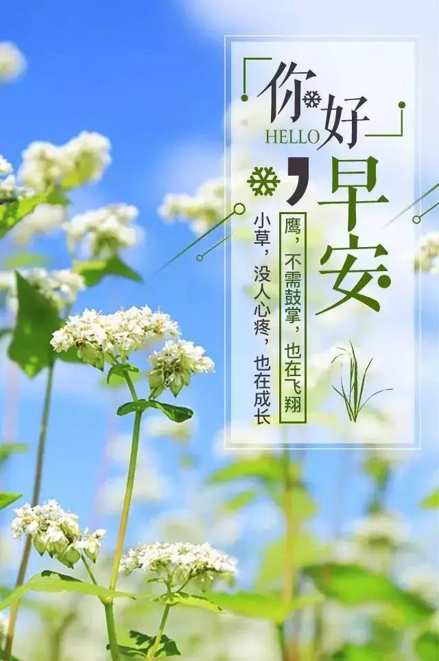 八个字激励短句小学生(最励志暖心10字短句)
