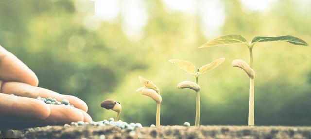 充满阳光的句子正能量的图片(阳光图片正能量好运)