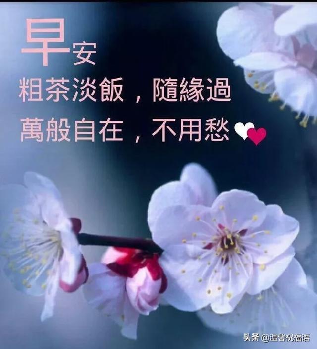 最能打动人心的早安问候带字图片(最好的早安问候语)