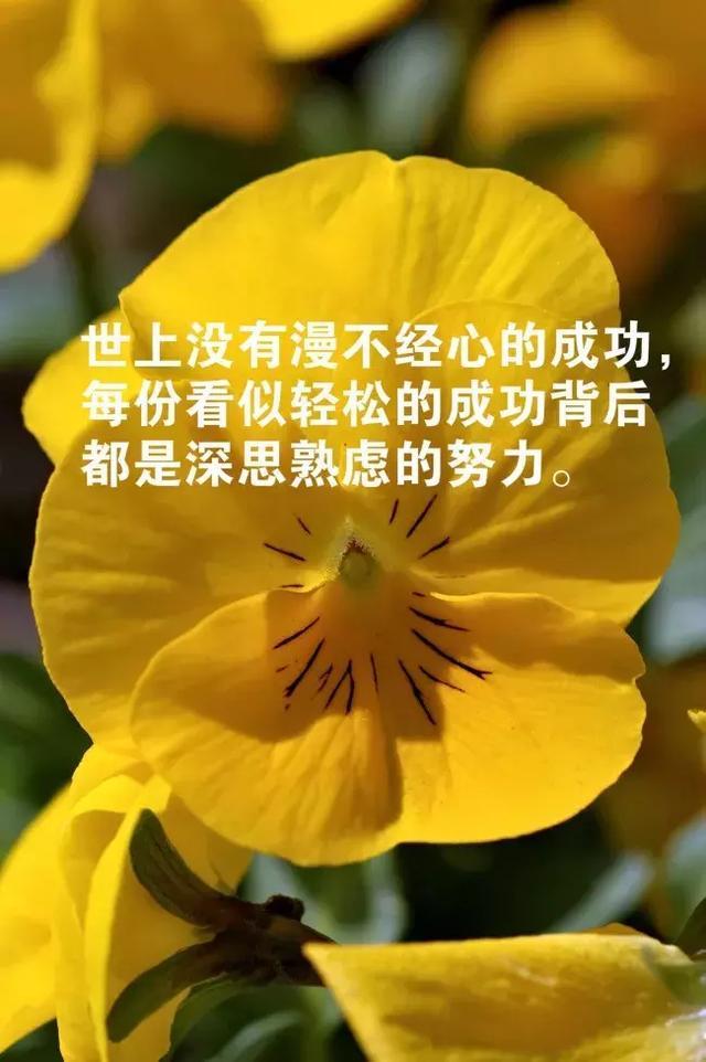 一千字的精选美文励志(青春励志美文摘抄400字)