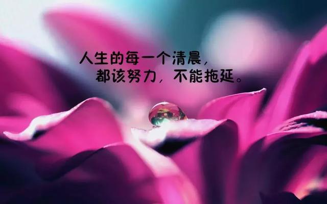 一千字的精选美文励志(青春励志美文摘抄400字)